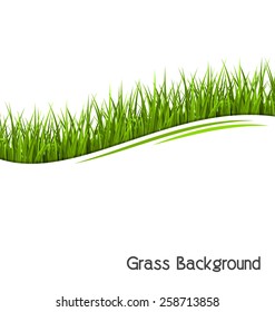 Green grass lawn wave isolated on white. Floral eco nature background