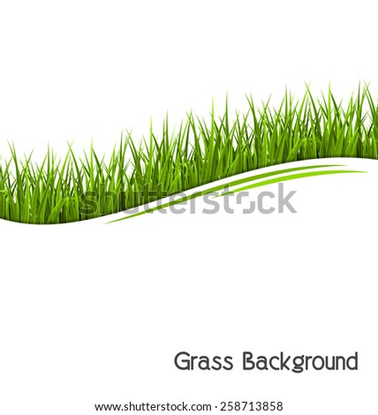 Green grass lawn wave isolated on white. Floral eco nature background
