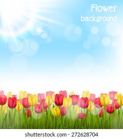 Green grass lawn with yellow and red tulips and sunlight on sky. Floral nature flower background