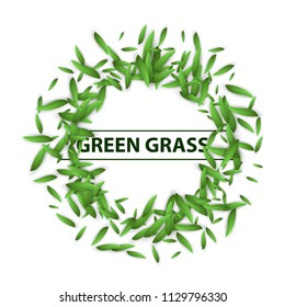 Green grass leaf- abstract banner. Vector eps 10