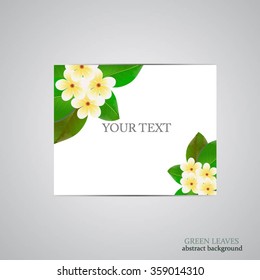 green grass leaves frame template with curling blank sheet paper design vector illustration