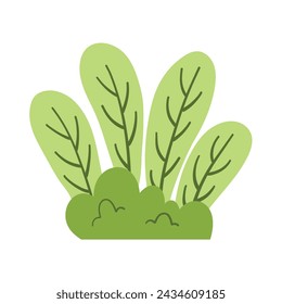Green grass leaves. nature decoration vector