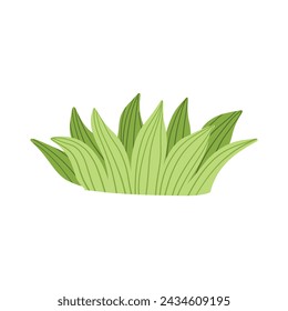 Green grass leaves. nature decoration vector