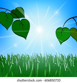 Green grass and leaves on the background of a sunny sky with glare