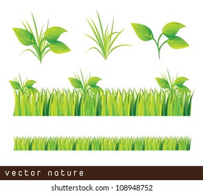 Green grass and leaves over white background