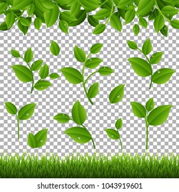 Grüne Gras und Blätter setzen transparenter Hintergrund mit Farbverlauf-Mesh, Vektorgrafik