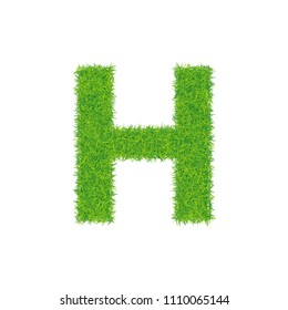 Grass Lowercase Uppercase Letter H Stock Illustration 43486765