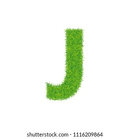 Grass Lowercase Uppercase Letter J Stock Illustration 43486771