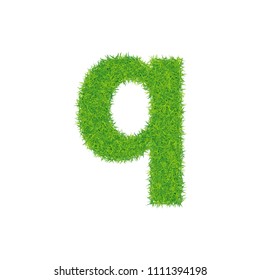 Green grass letter q on white background.