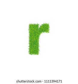 Green grass letter r on white background.