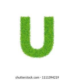 Green grass letter u on white background