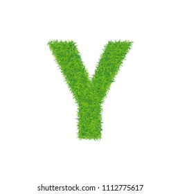 Green grass letter y on white background
