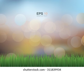 Green grass and lights blurred bokeh background. Vector illustration.