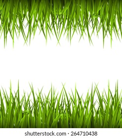 Green grass like frame isolated on white. Floral eco nature background