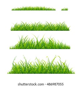 Green Grass Line Horizontal Set. Grasses Vector illustration