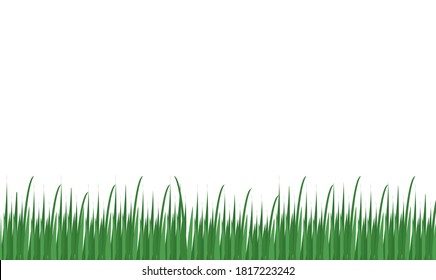 Green grass long banner border, plants decoration element. Vector illustration