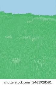 Green grass meadow for background