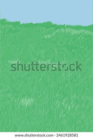Green grass meadow for background