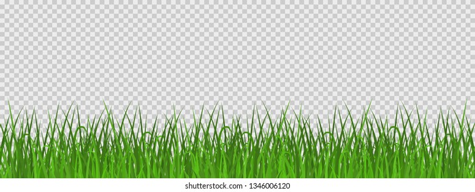 Green grass meadow border isolated on transparent background. Spring or summer plant field lawn. Template design for park, yard, garden natural landscape decoration, rural fields scenery. Vector