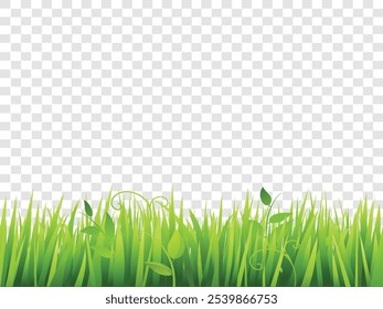 Green grass meadow border pattern vector. Spring or summer plant field lawn. Grass background. Green Grass Meadow Border Pattern | Spring or Summer Lawn Vector with Lush Grass Border and Plant Field