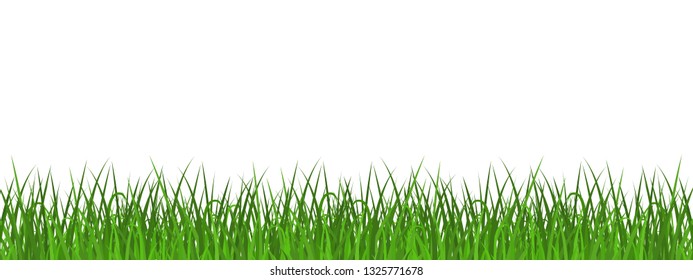 Green grass meadow border. Spring or summer plant field lawn. Template design for park, yard, garden natural landscape decoration, rural fields scenery. Vector illustration