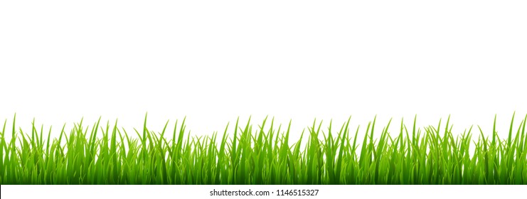 Green grass meadow border vector pattern. Spring or summer plant field lawn. Grass background.