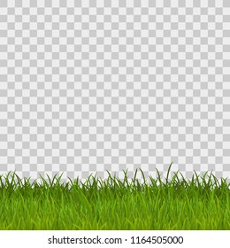 Green grass meadow border vector pattern. Spring or summer plant lawn. Photo realistic grass on a transparent background.