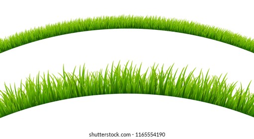 Green grass meadow border vector pattern. Spring or summer plant field lawn. Grass background.