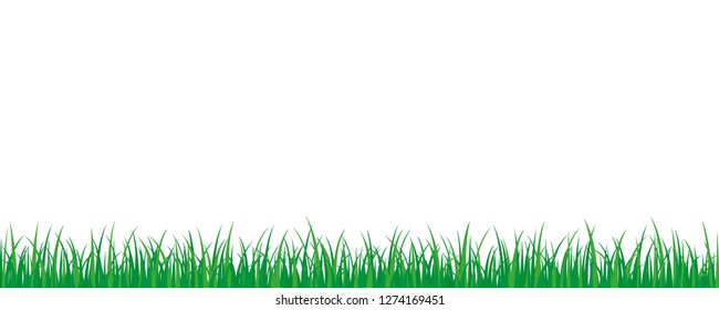 green grass meadow border vector pattern isoladet on a white background vector illustration EPS10