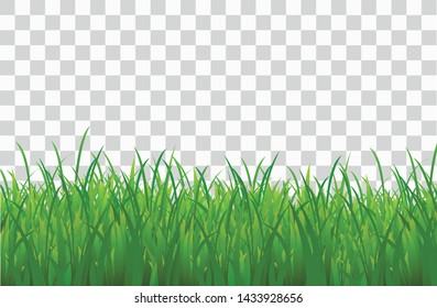 Green grass meadow border vector pattern. Spring or summer plant lawn. Photo realistic grass on a transparent background.