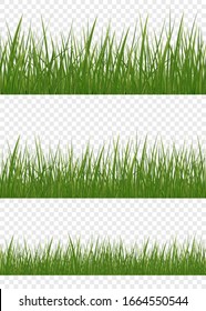 Green grass meadow border vector pattern. Spring or summer plant lawn. Set of realistic vector elements of nature for design illustrations.