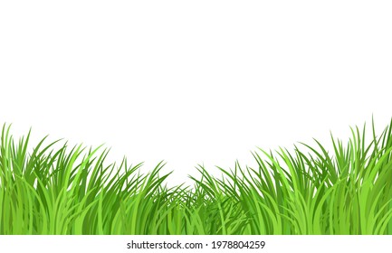 Green grass meadow border vector pattern on white background. Spring or summer plant field lawn. 
