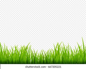 Grasspanorama Images, Stock Photos & Vectors | Shutterstock