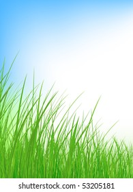green grass meadow under clear blue sky, copyspace