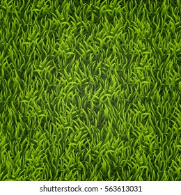 Green grass. Natural background. Vector texture. Tall grass. Fresh spring green grass.