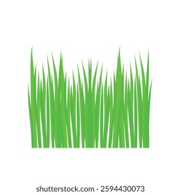 Green grass for natural garden landscape. Eco fresh botanic ecology