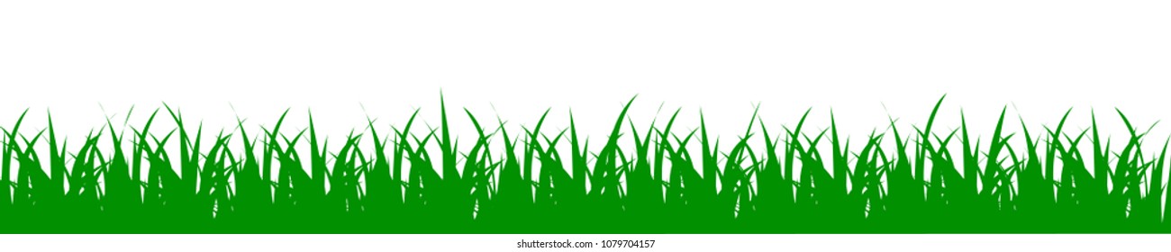 Green grass, nature background - for stock