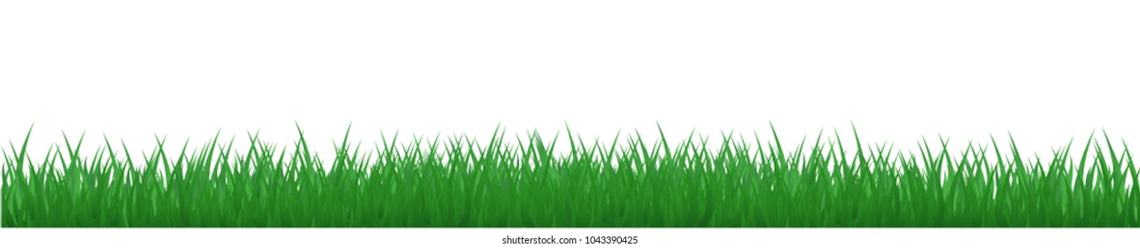 Green grass, nature background - vector