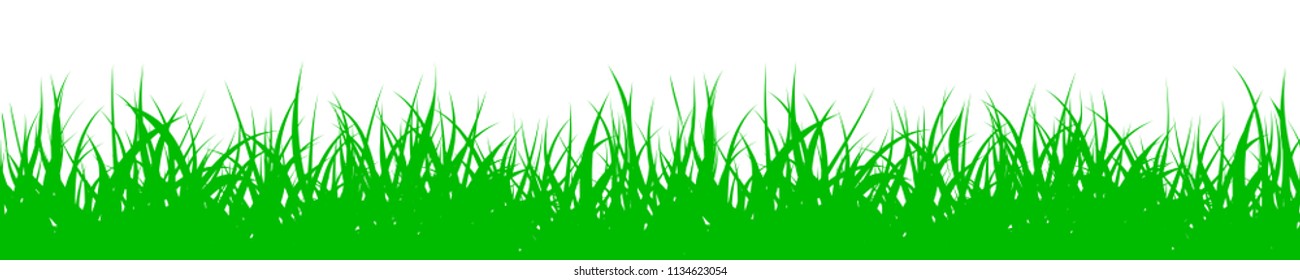 Green grass, nature background - vector illustration
