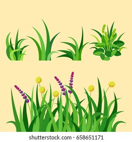 Green grass nature design elements vector illustration isolated grow agriculture nature background