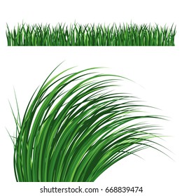 Green grass nature design elements vector illustration isolated grow agriculture nature background