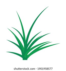 green grass nature element vector design
