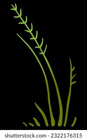césped verde para ilustraciones naturales