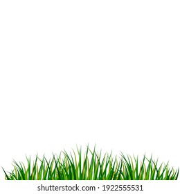 Green grass. Nature landscape. Vector nature graphic background. Silhouette vector. Vector drawing. Stock image. EPS 10.