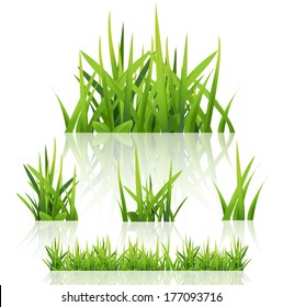 Green grass nature, vector 