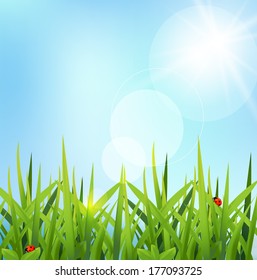 Green grass nature, vector 