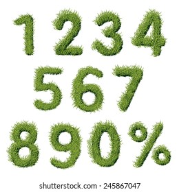 Green Grass Numbers Set