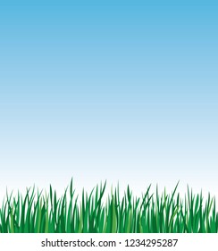 Green grass on a background of blue sky vector stock illustration