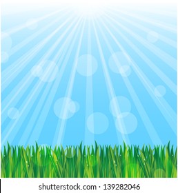 green grass on a background blue sky