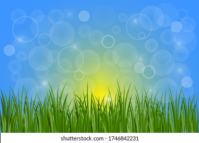 Green grass on a background of blue summer sky. Freshness field vector. Illustration of the bright sun over the lawn.